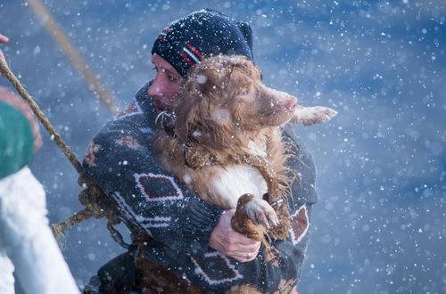 kinopoisk.ru