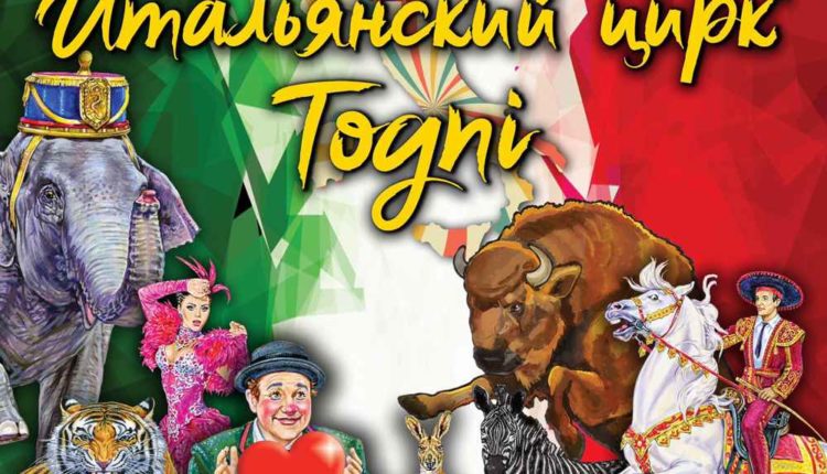 Togni