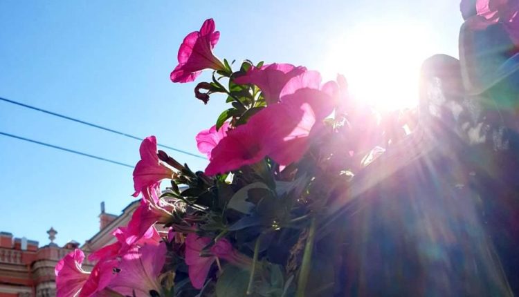 20190610_165416