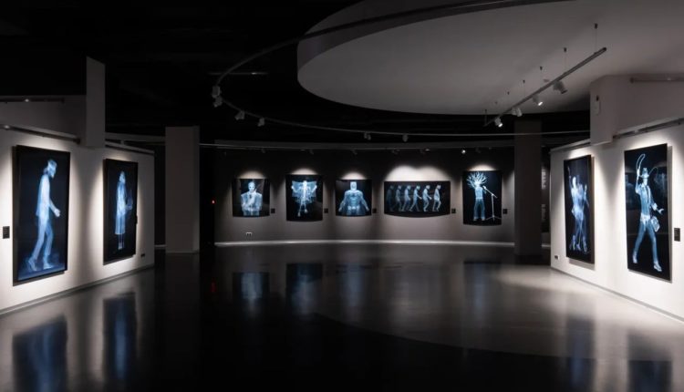 выставка Ника Визи «X-Ray Men» в Эрарте